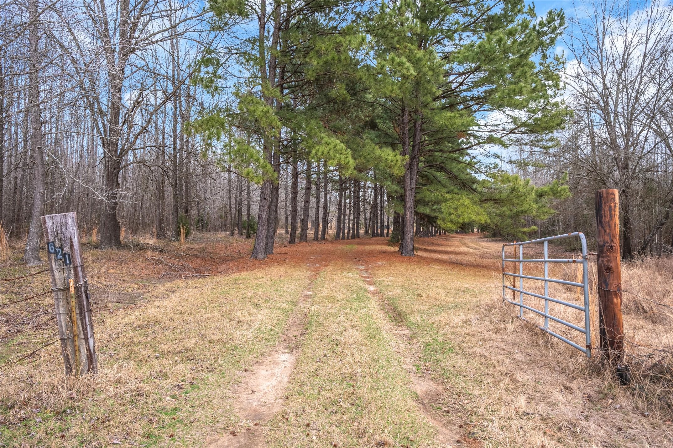 621 Vz County Road 4218