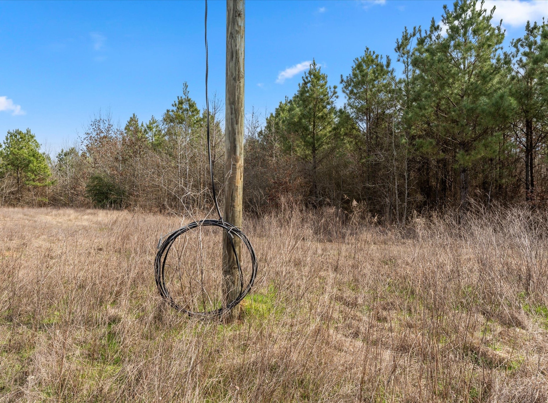 8765 Farm to Market Road 1650