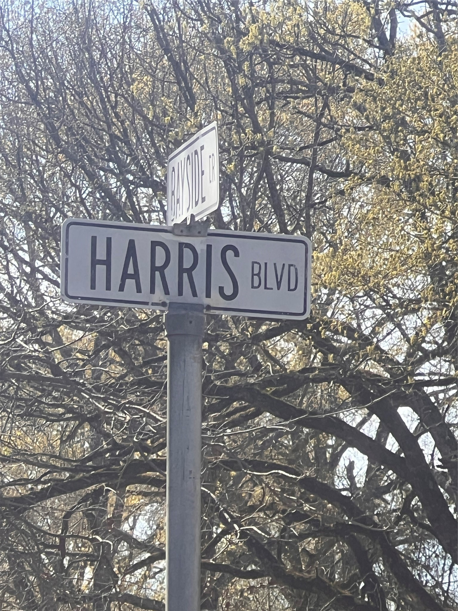LOT 61 Harris Boulevard