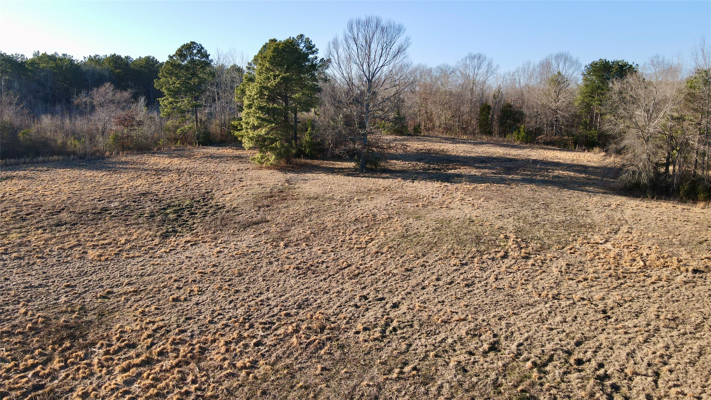 825 COUNTY ROAD 2511