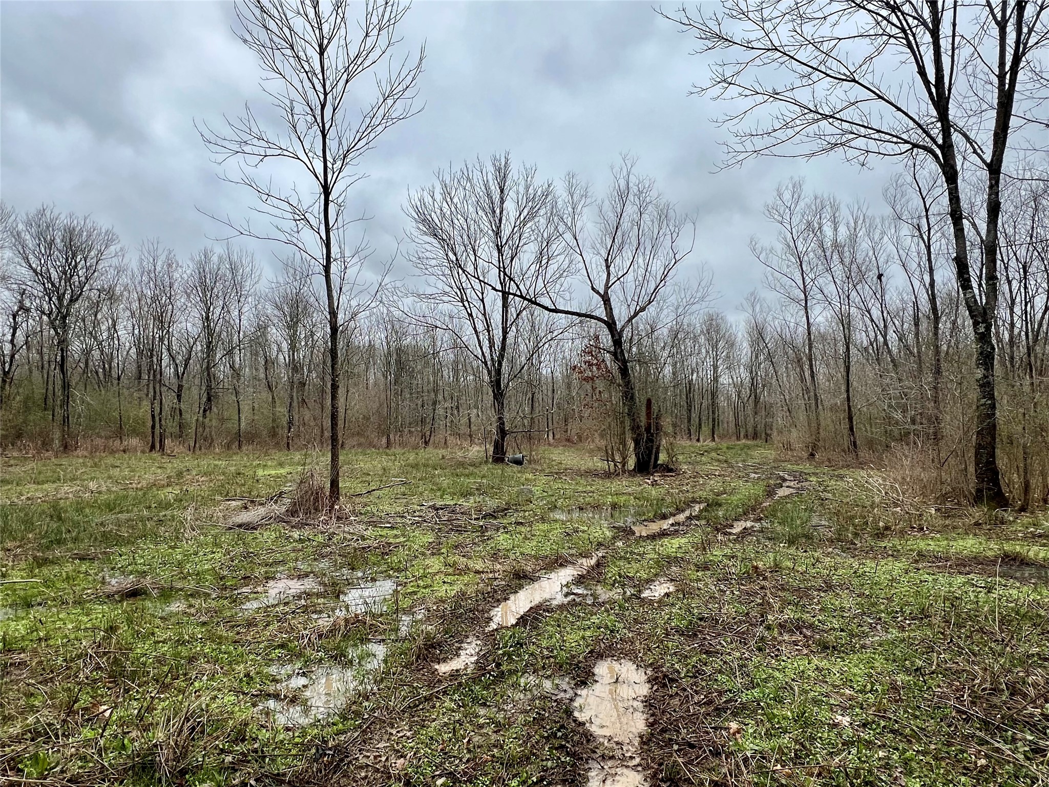 825 COUNTY ROAD 2511