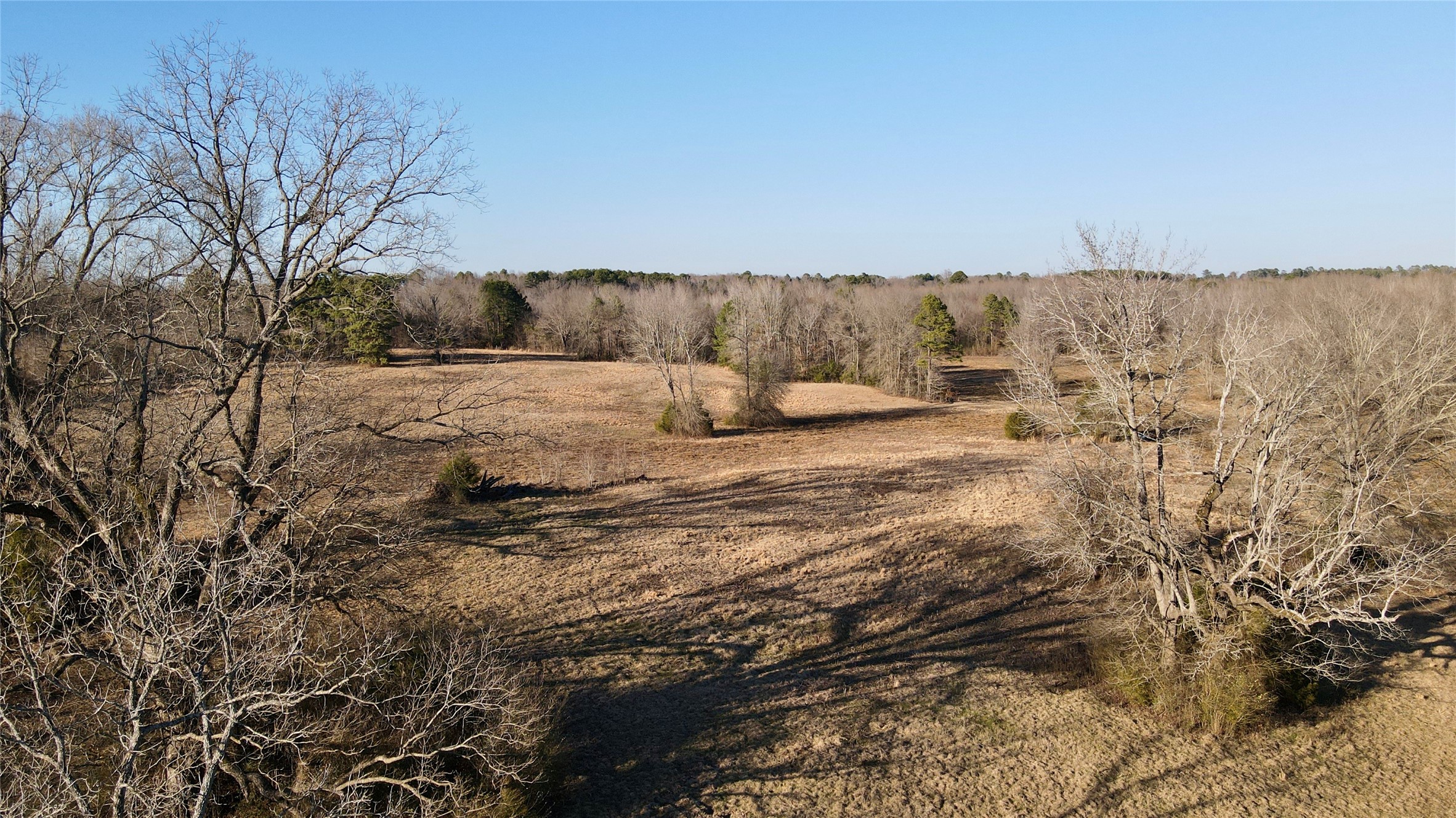 825 COUNTY ROAD 2511