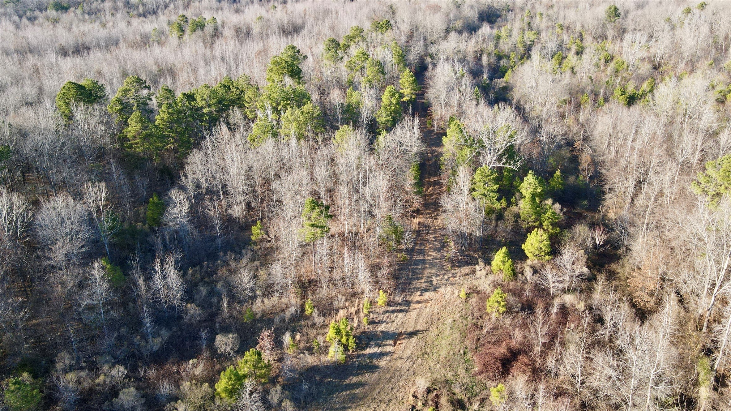 825 COUNTY ROAD 2511