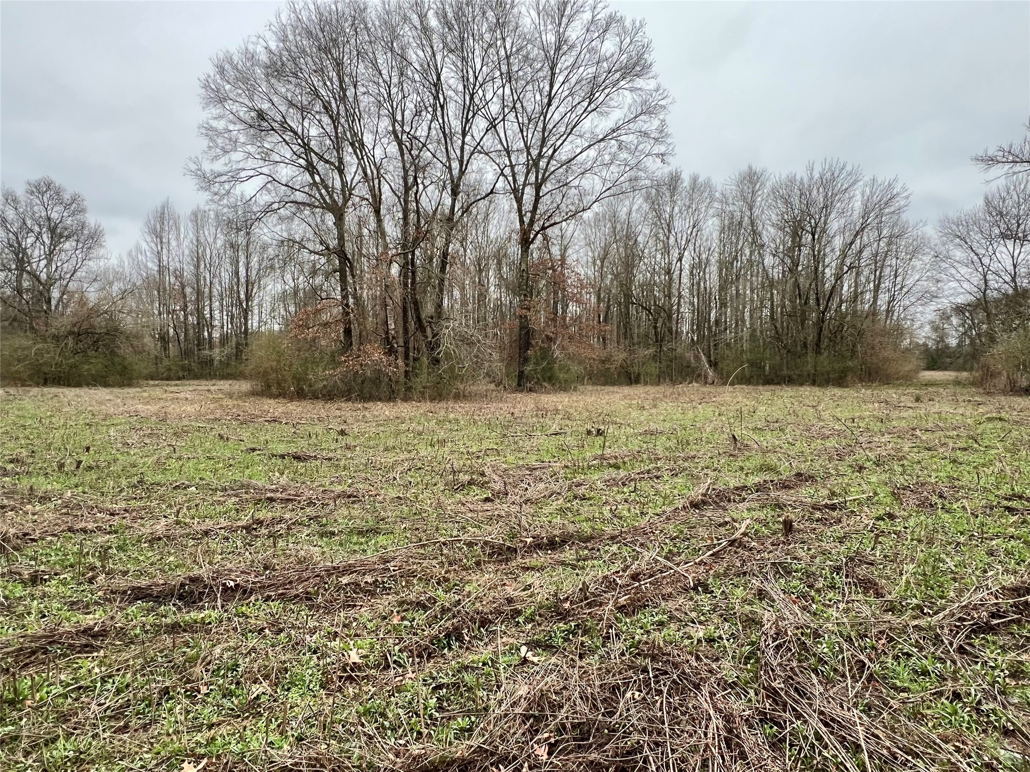 825 COUNTY ROAD 2511