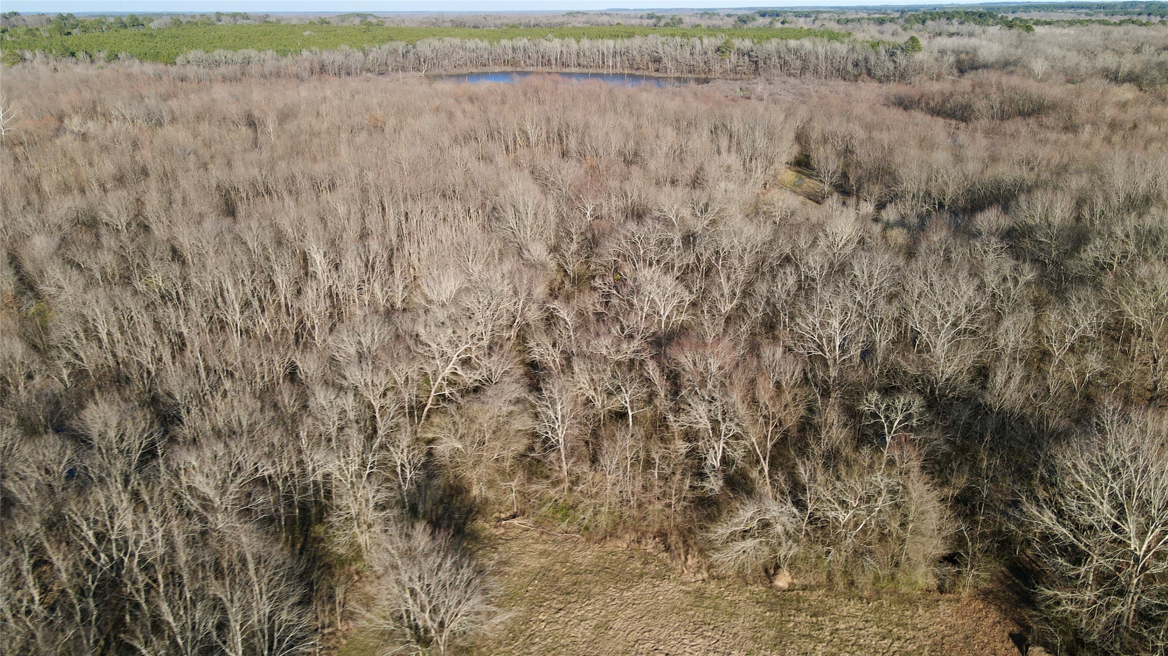 825 COUNTY ROAD 2511