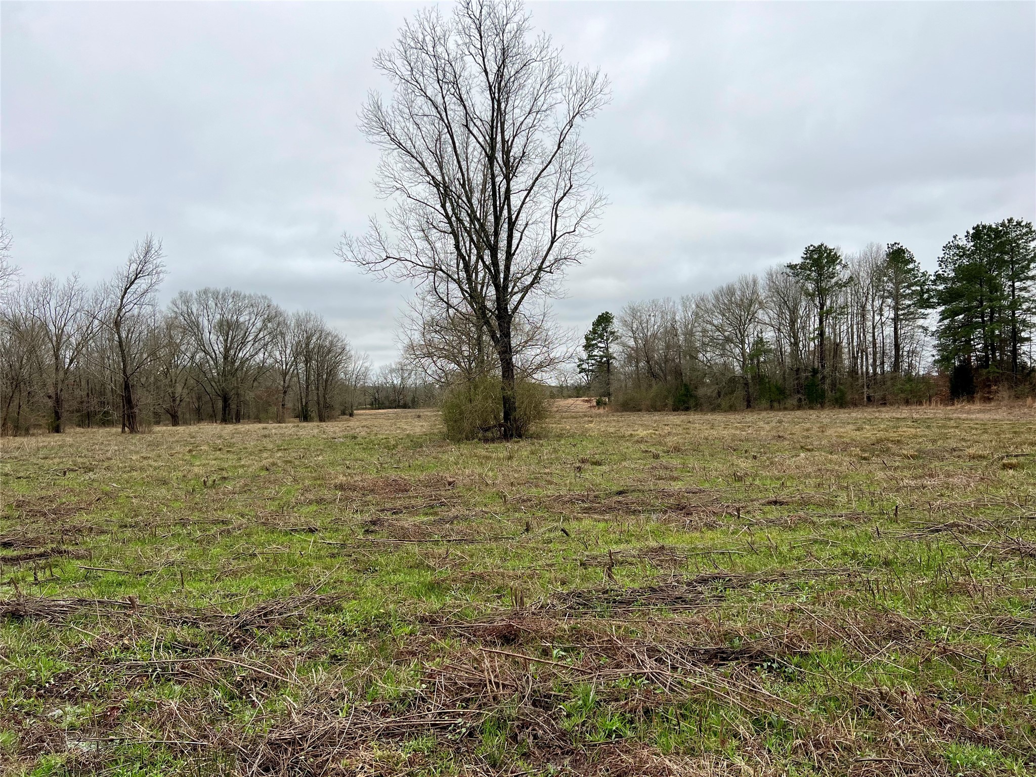 825 COUNTY ROAD 2511