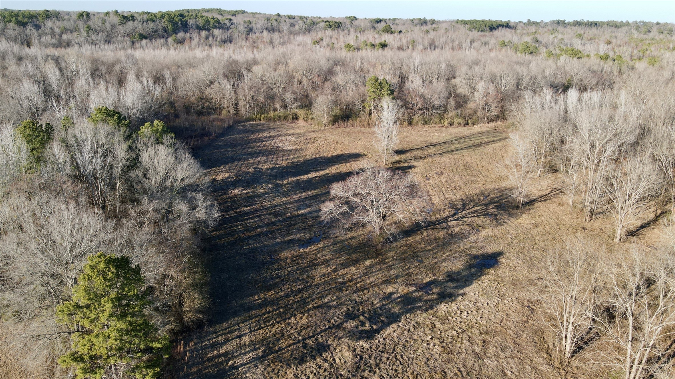 825 COUNTY ROAD 2511