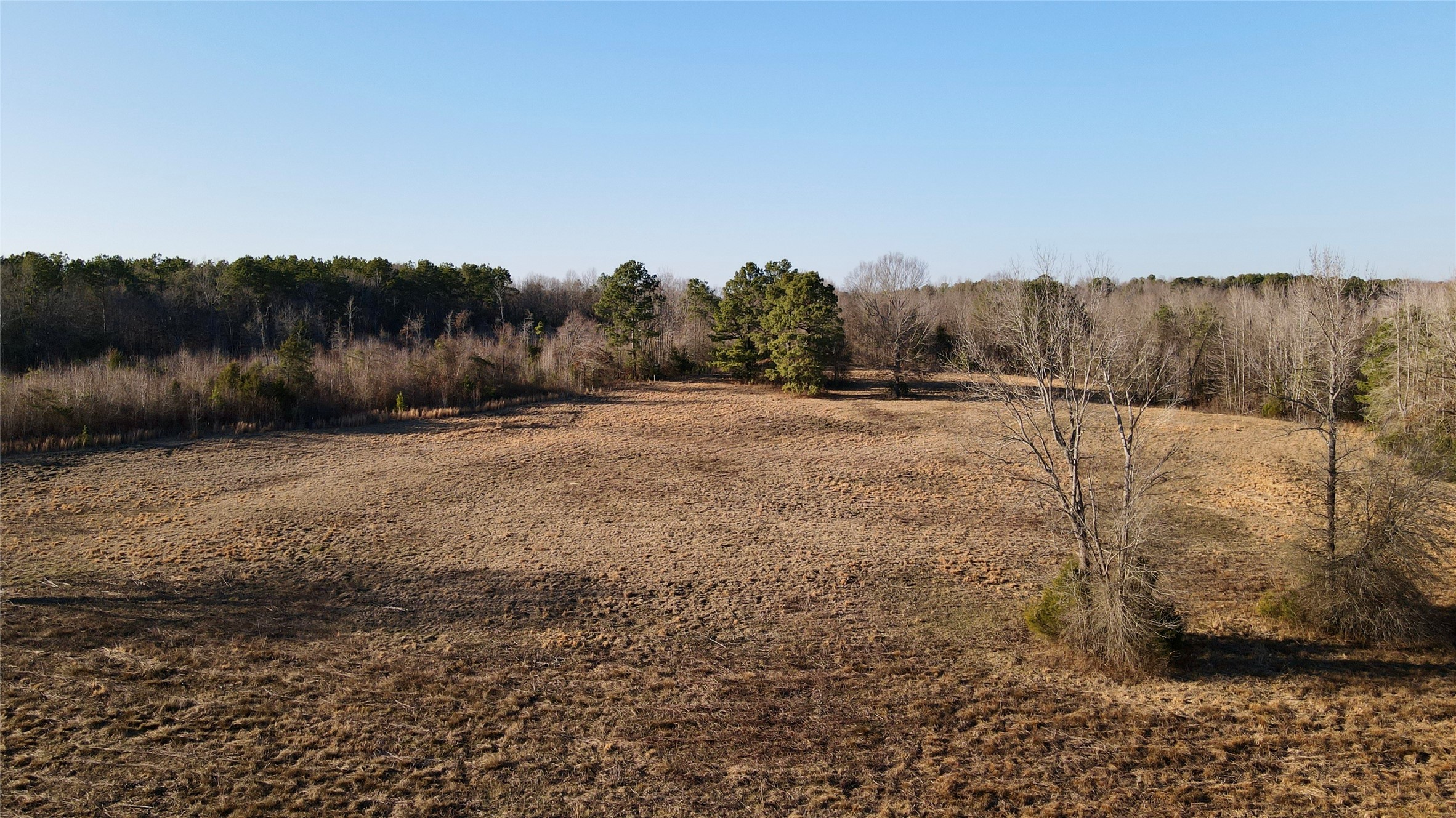 825 COUNTY ROAD 2511