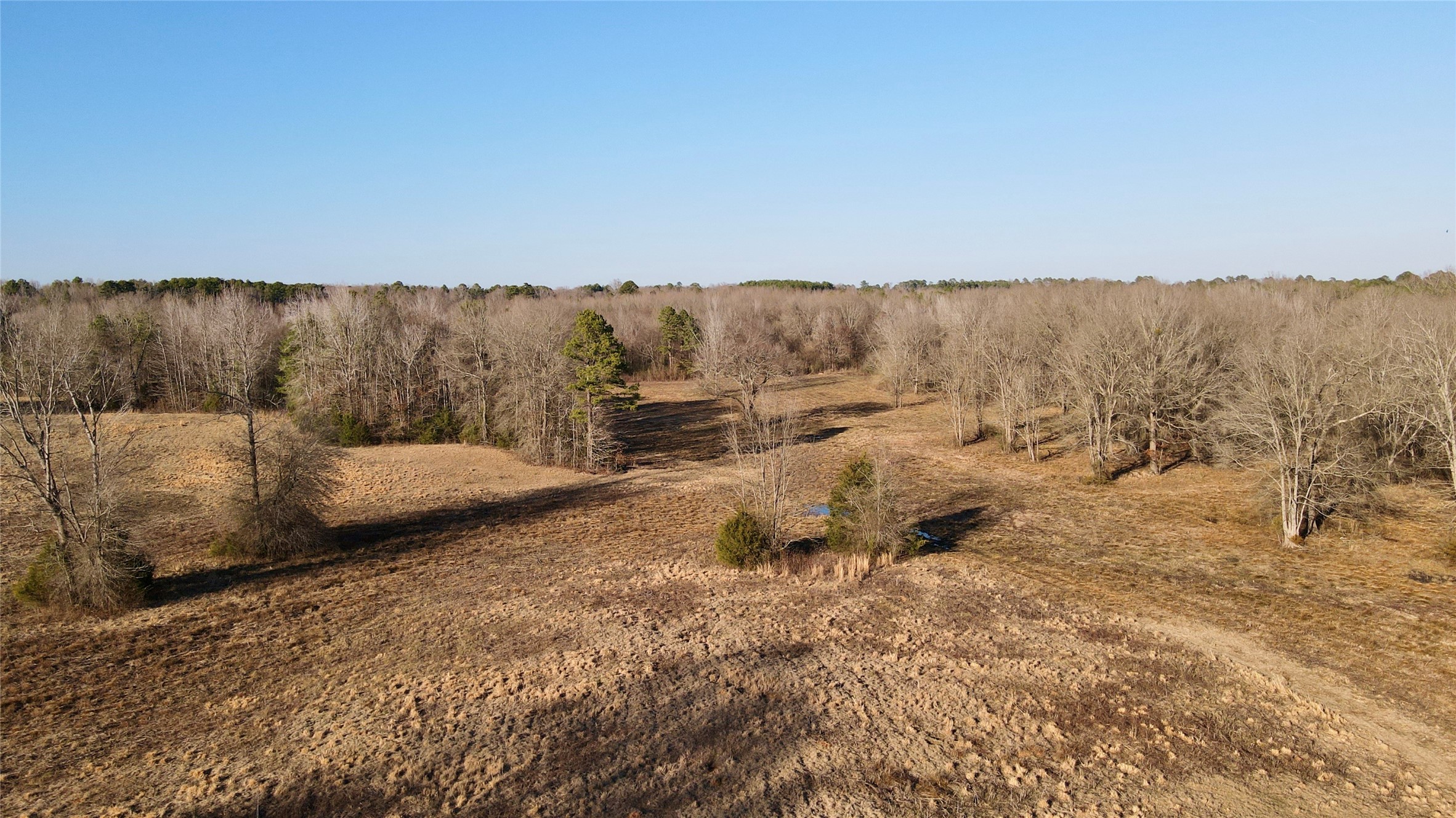 825 COUNTY ROAD 2511