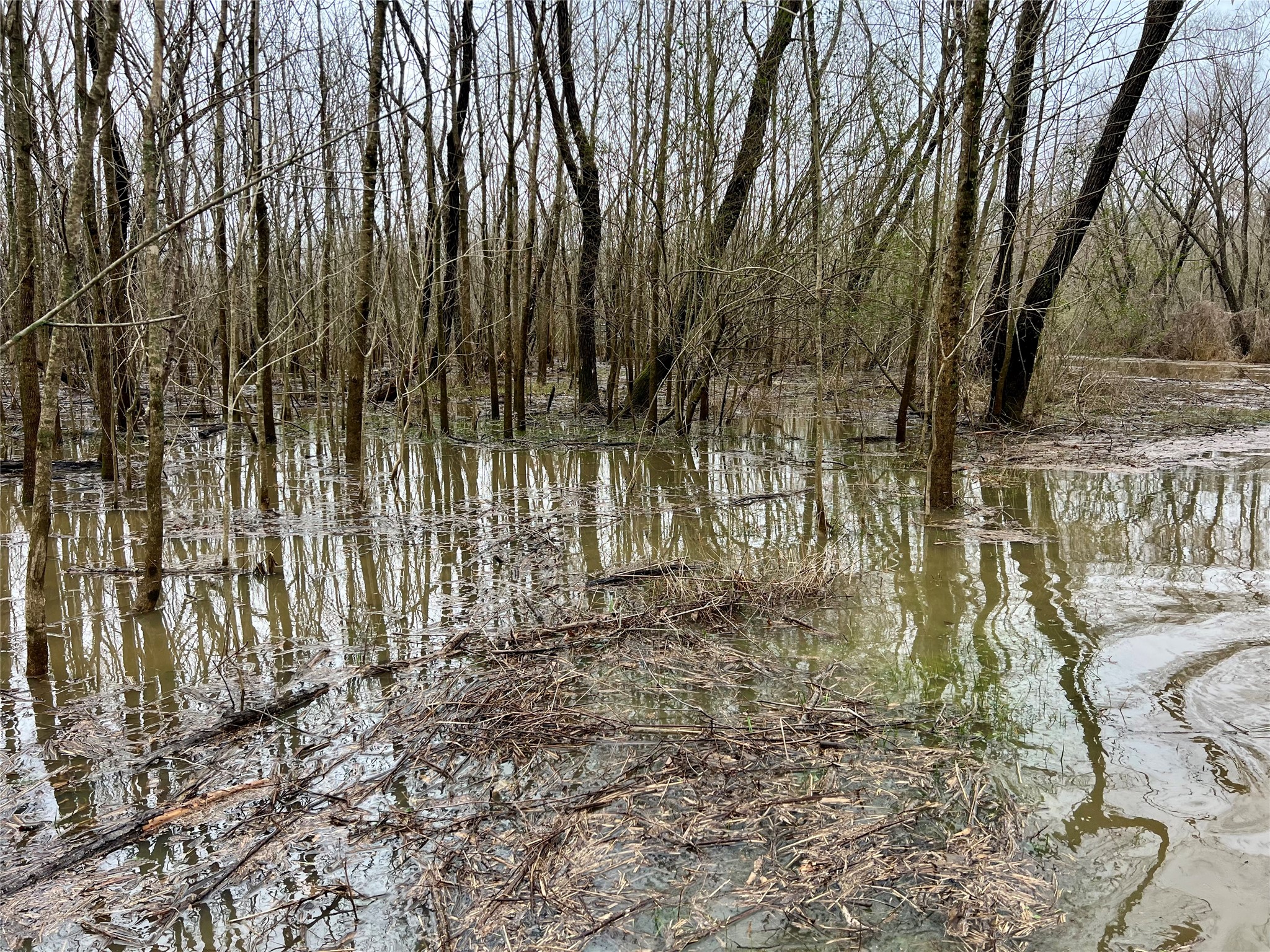 825 COUNTY ROAD 2511