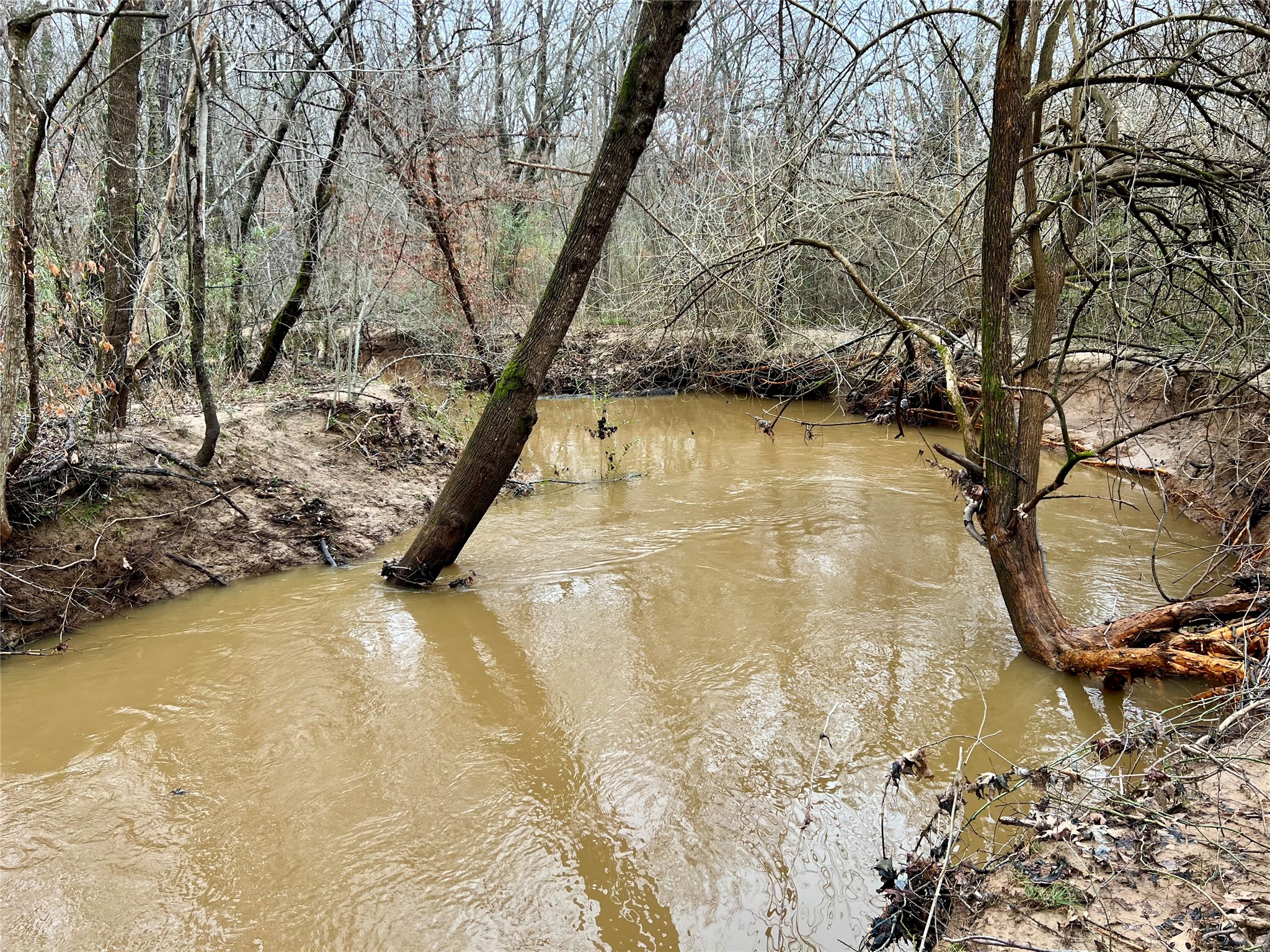 825 COUNTY ROAD 2511