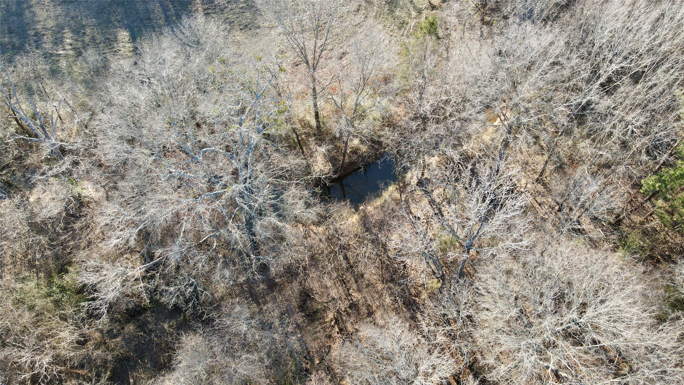 825 COUNTY ROAD 2511