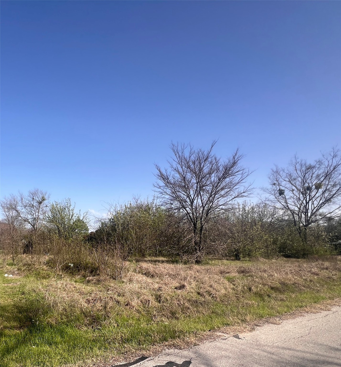 LOT 5 State Highway Drive