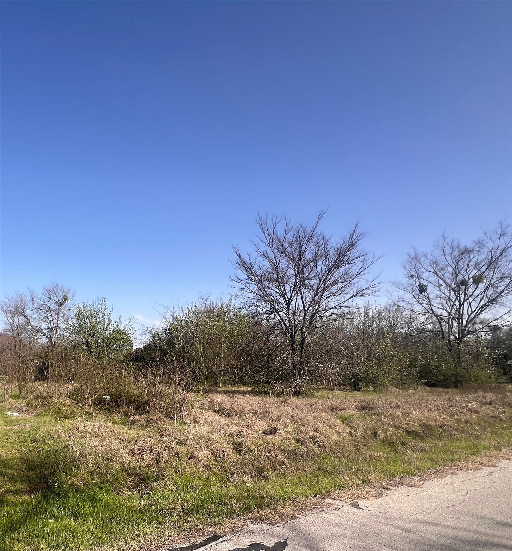 LOT 5 State Highway Drive