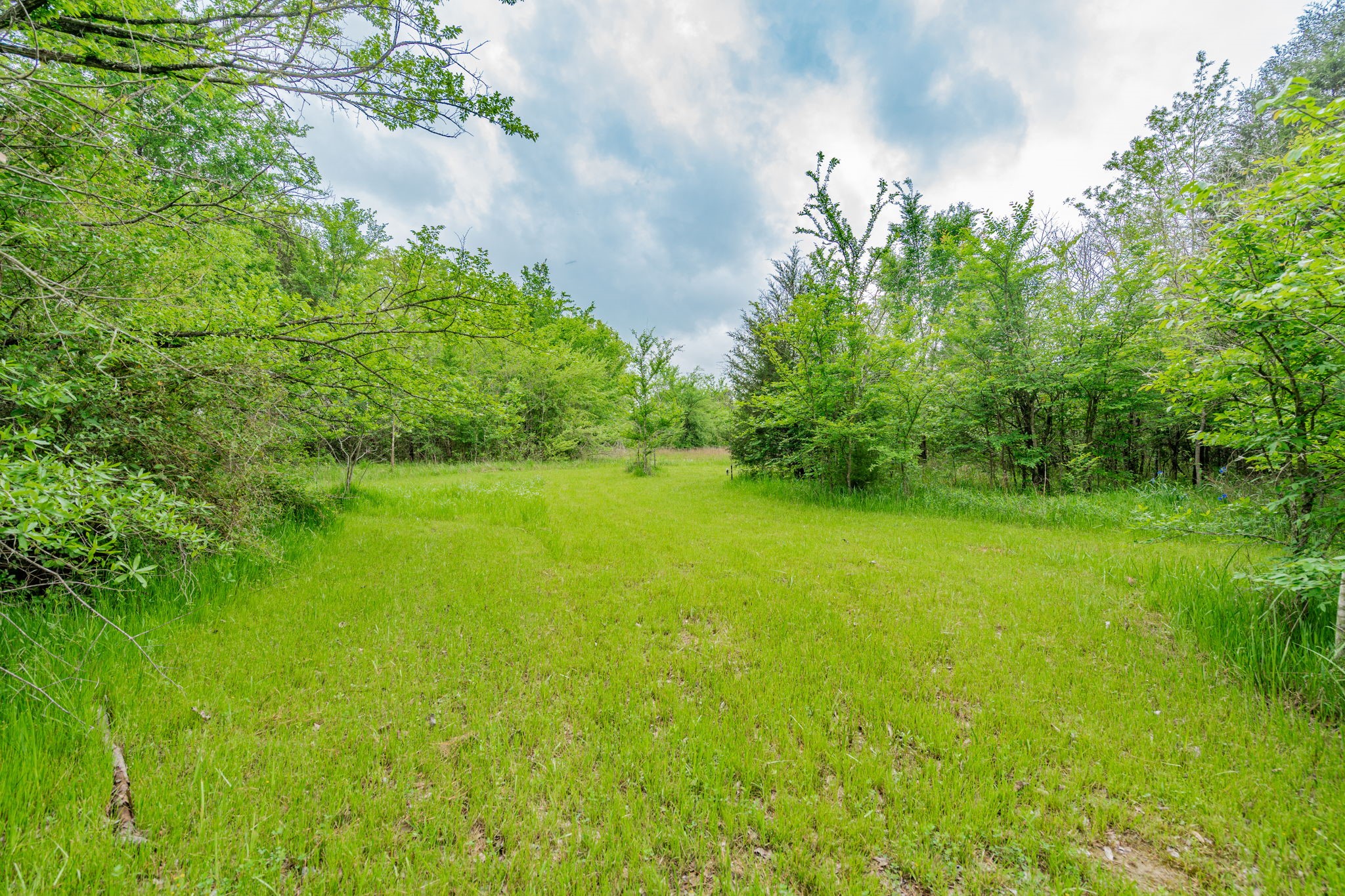 134 Saint Michaels Drive