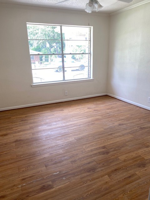1311 Royal Drive