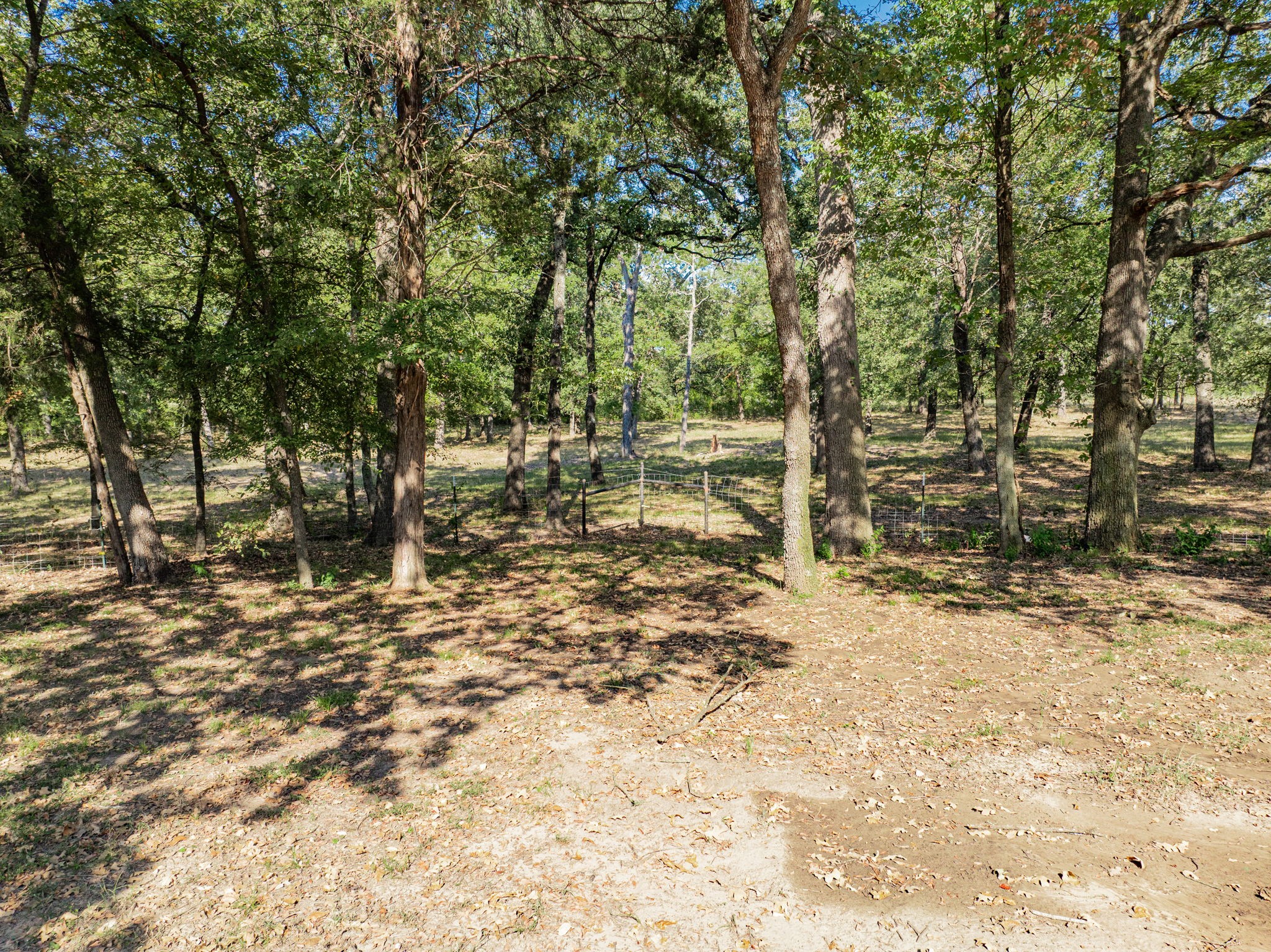 16043 County Road 339