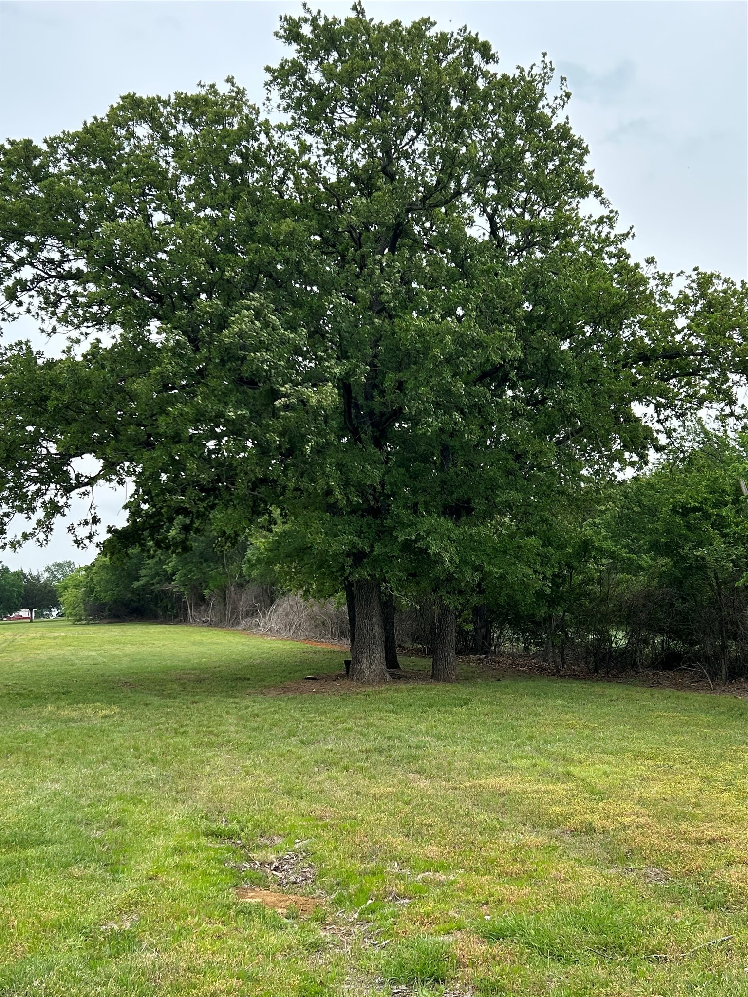 124 S Joplin Road