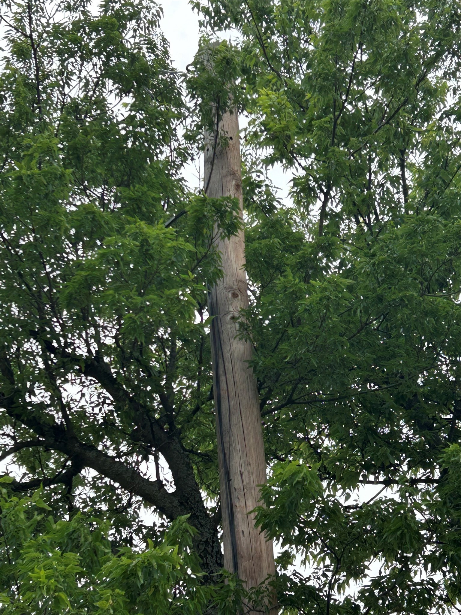 124 S Joplin Road