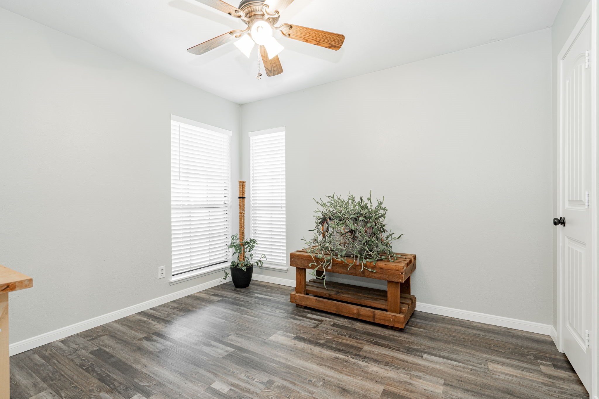 519 Magnolia Drive