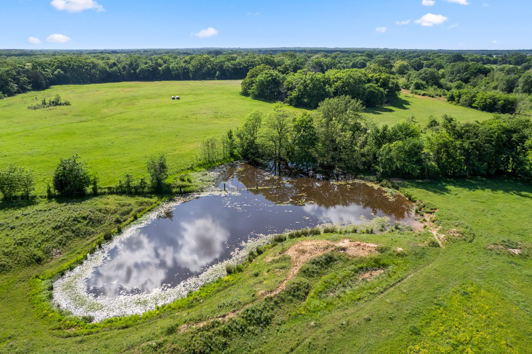 14203 County Road 2900