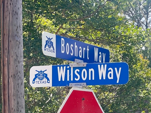 132 Wilson Way