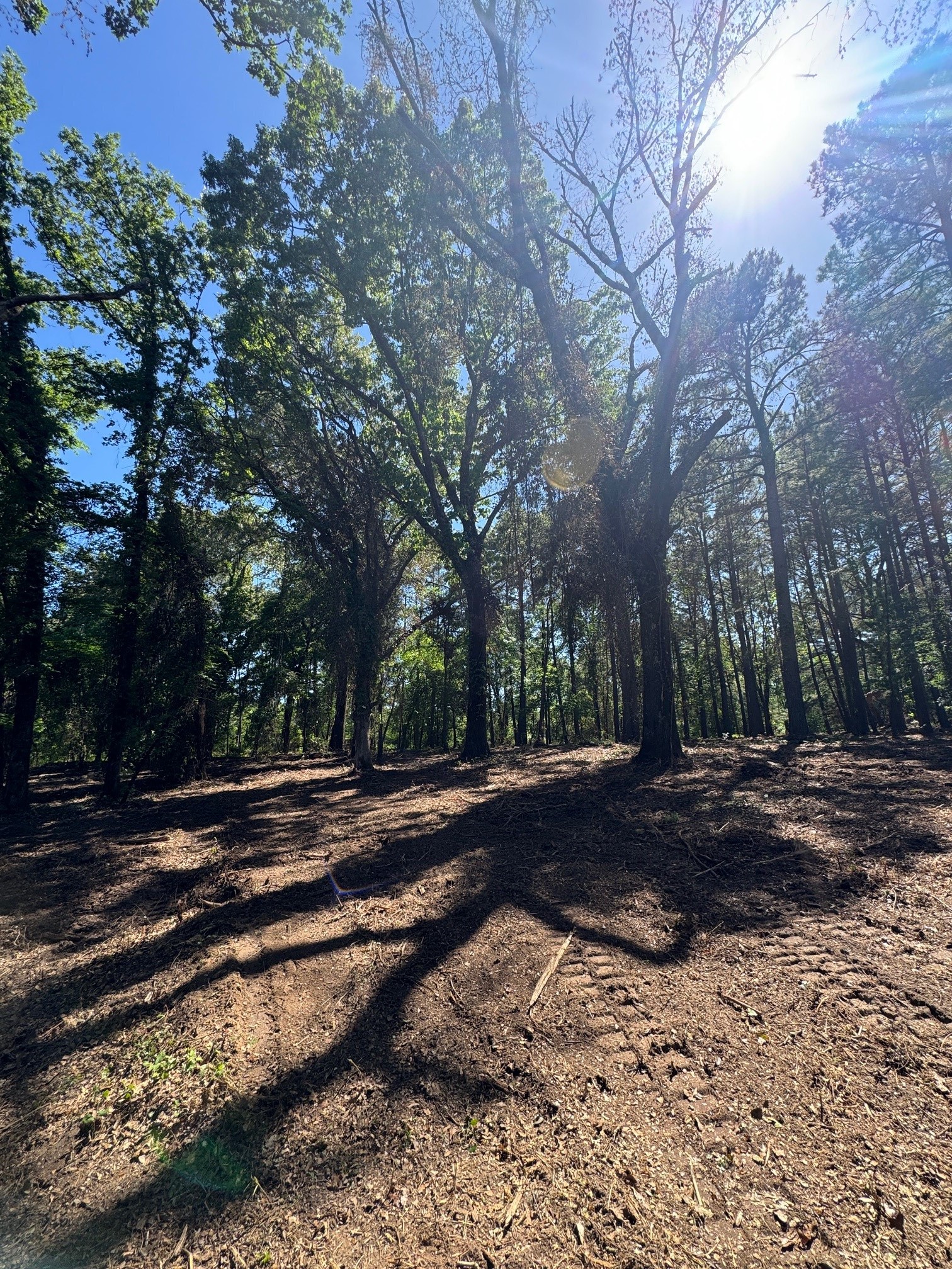 12983 County Road 4122