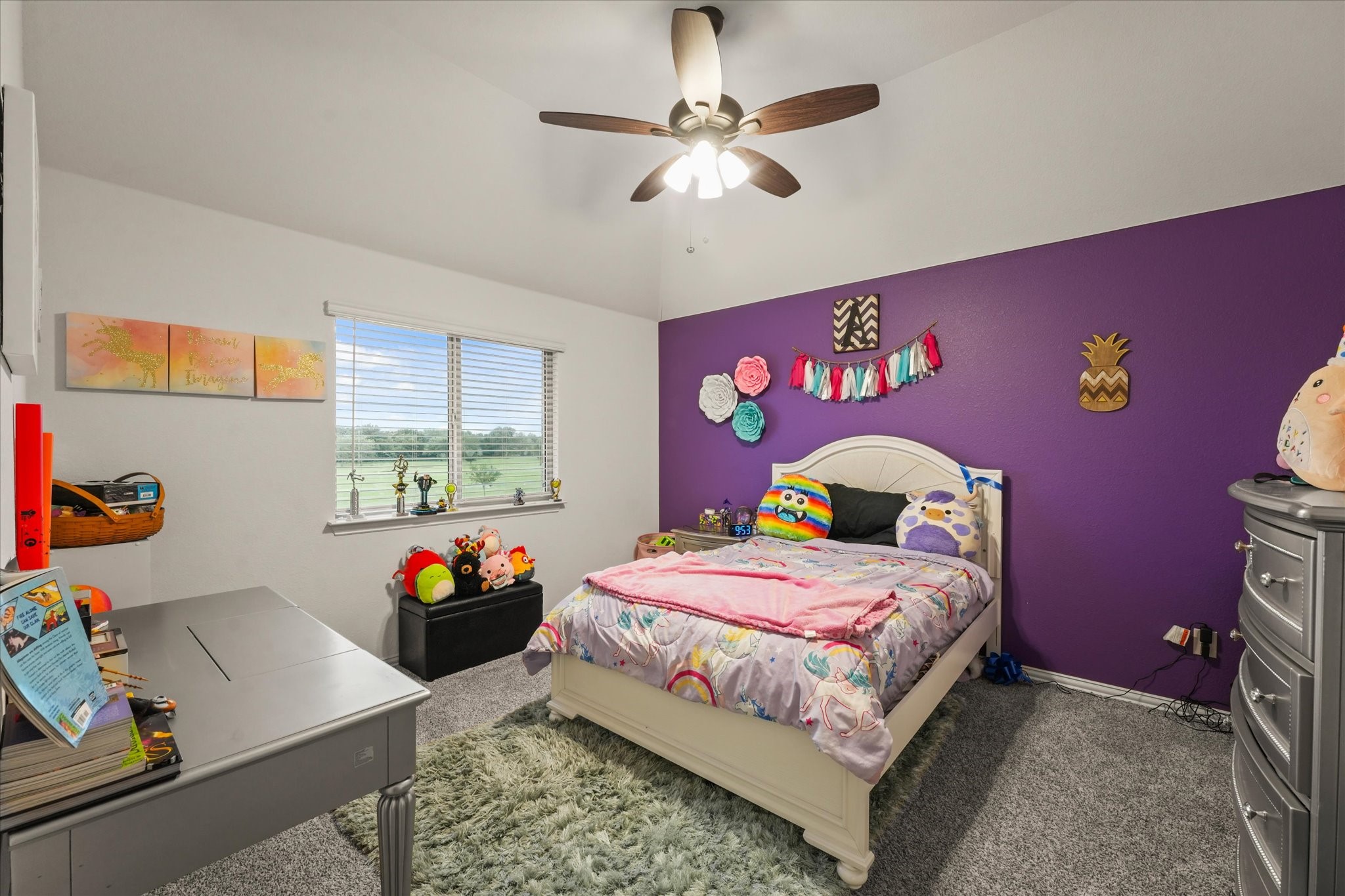2643 Perdenales Drive