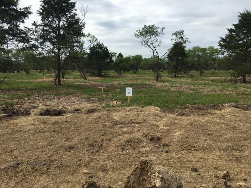 9108 W Shoreline Drive