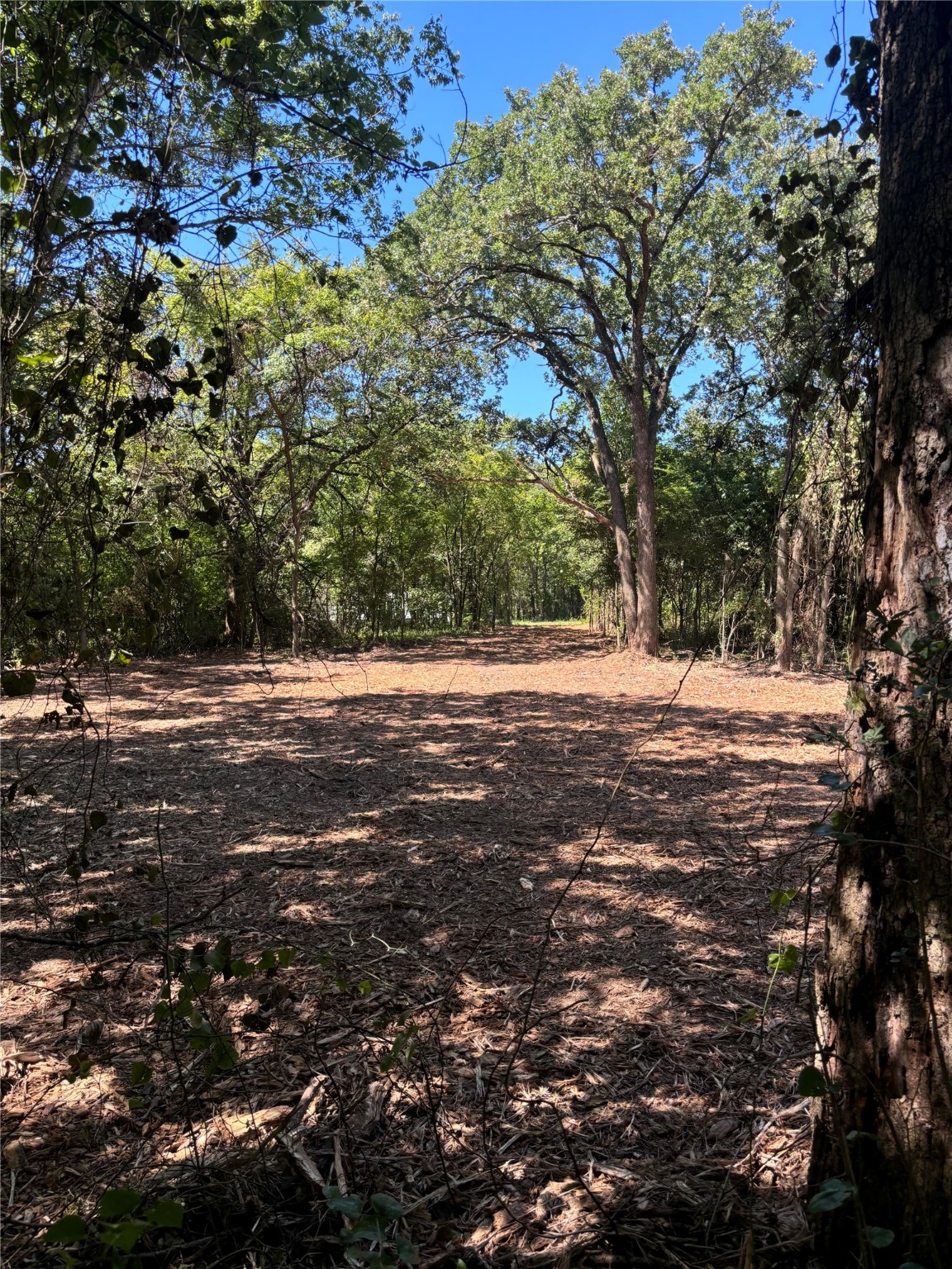 TBD Triple N Ranch Road