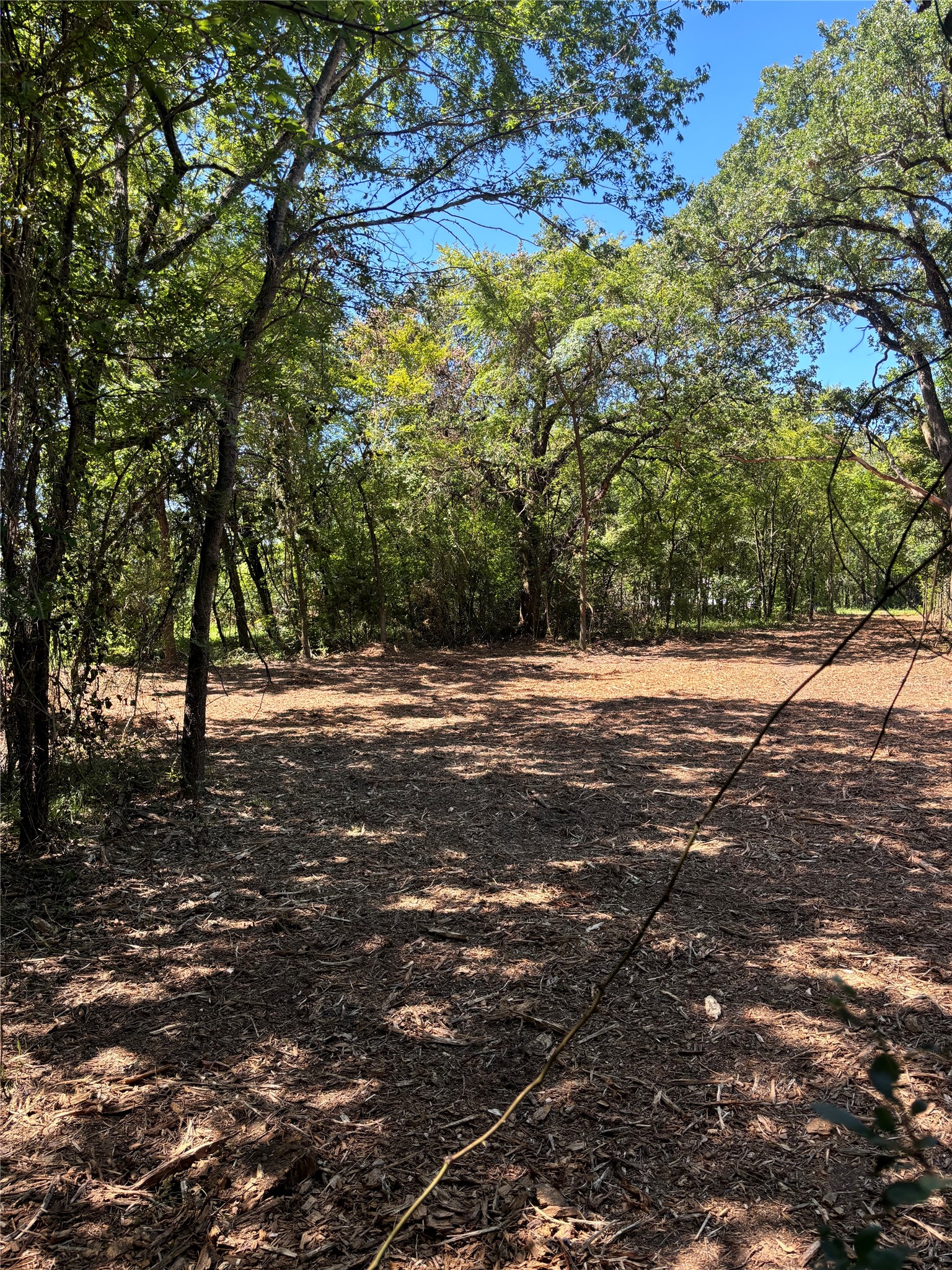 TBD Triple N Ranch Road