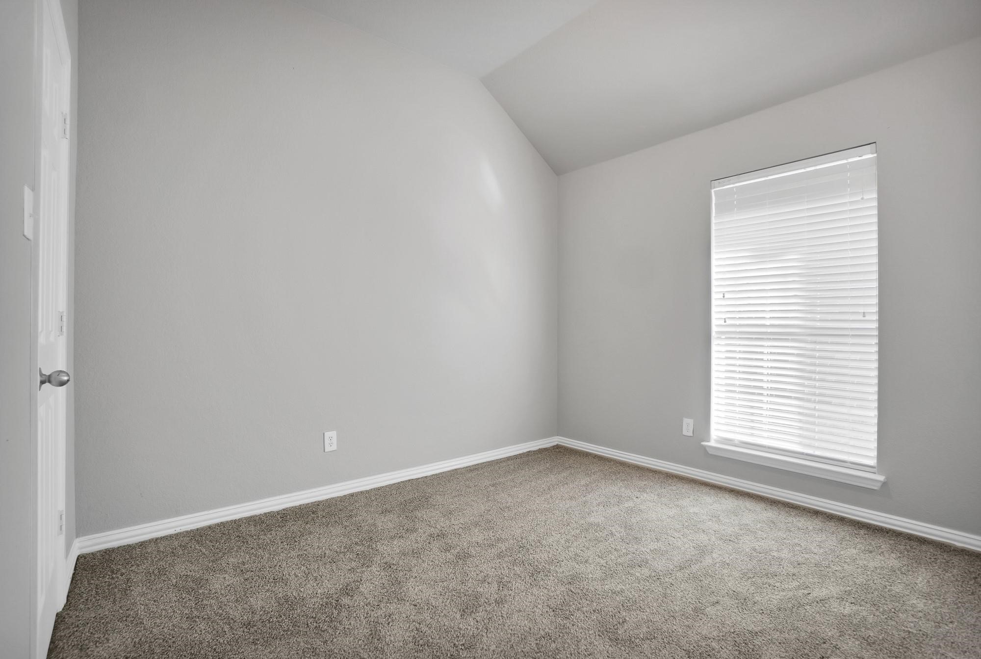 256 White Drive