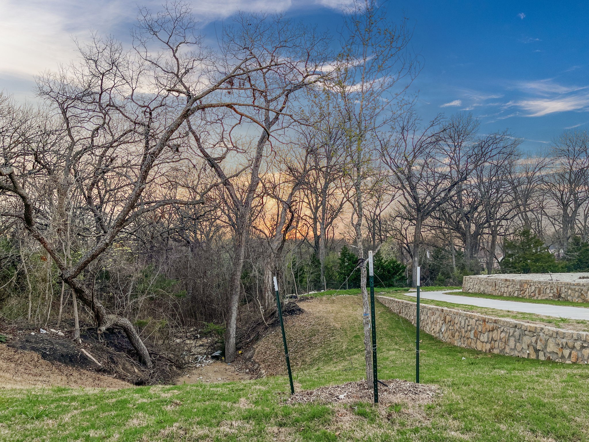 3104 Yellow Pine Drive