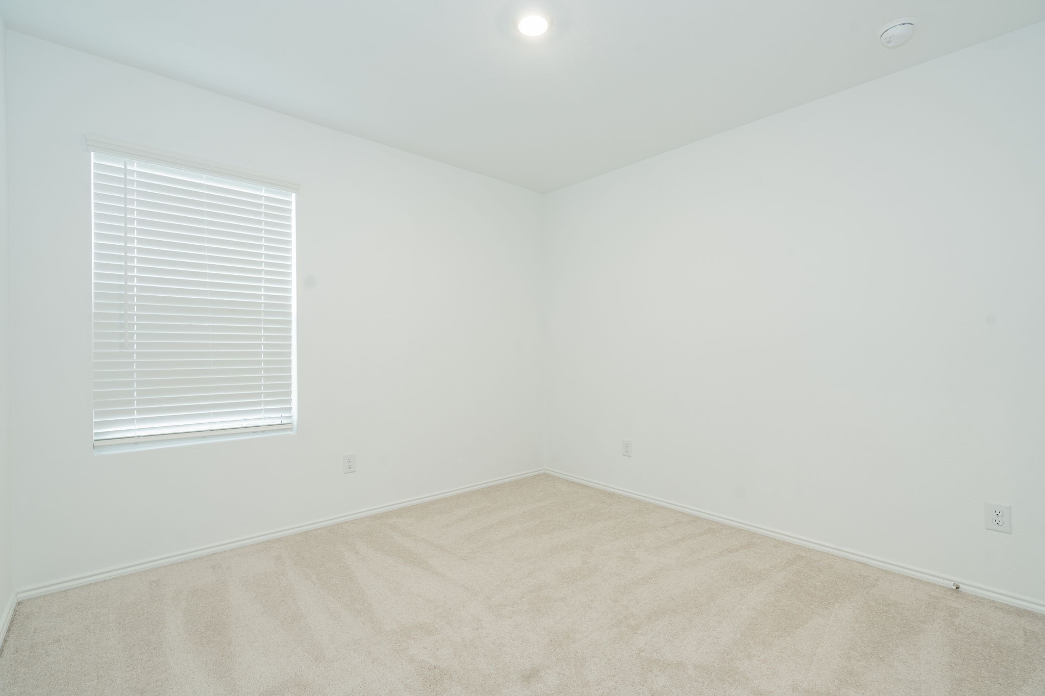 3505 Flicker Lane