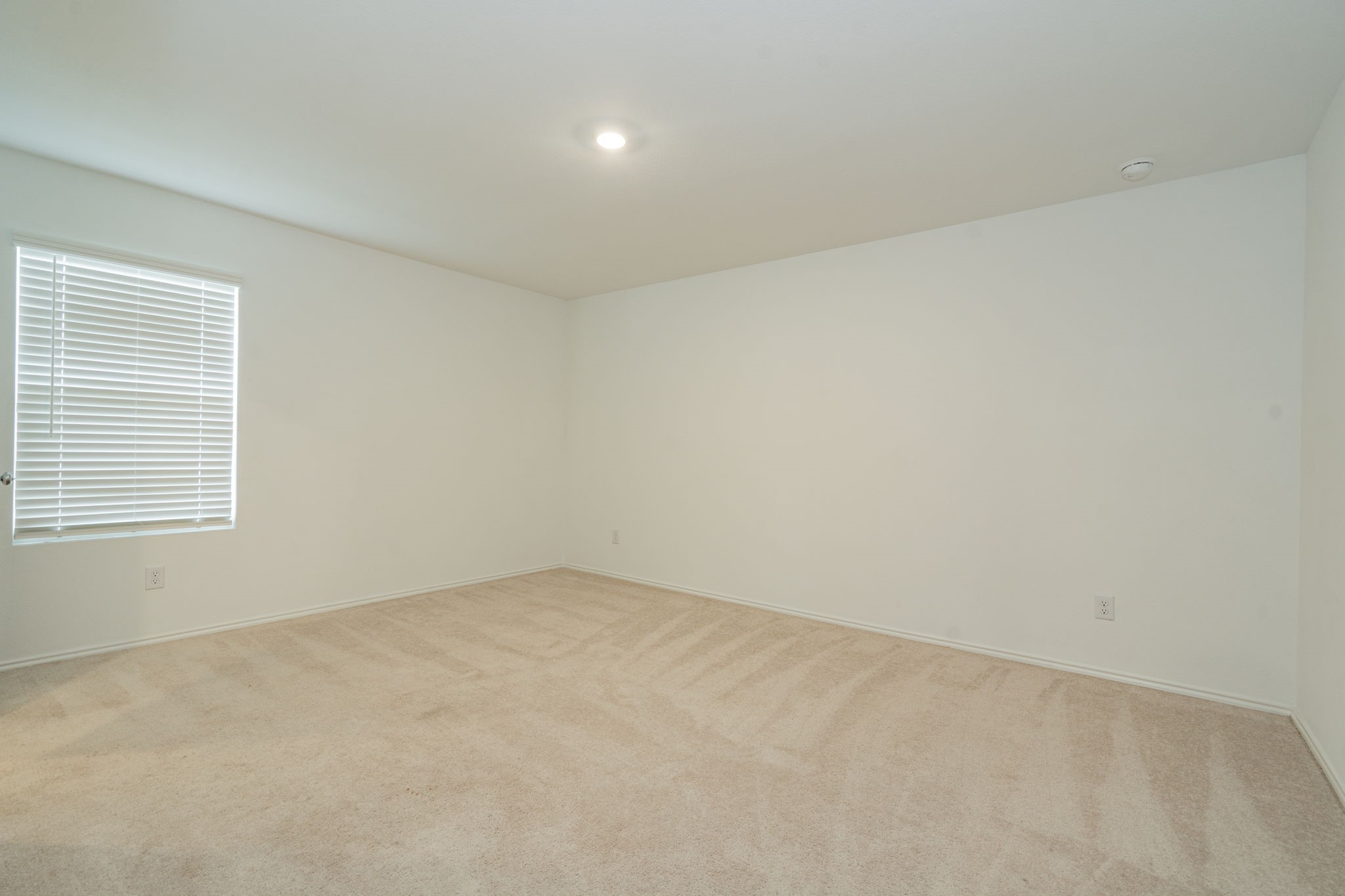 3505 Flicker Lane