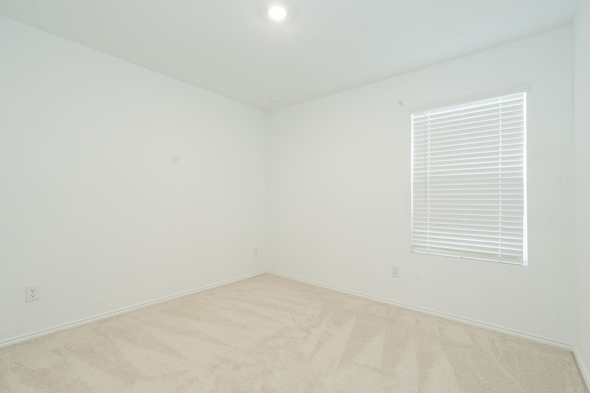 3505 Flicker Lane