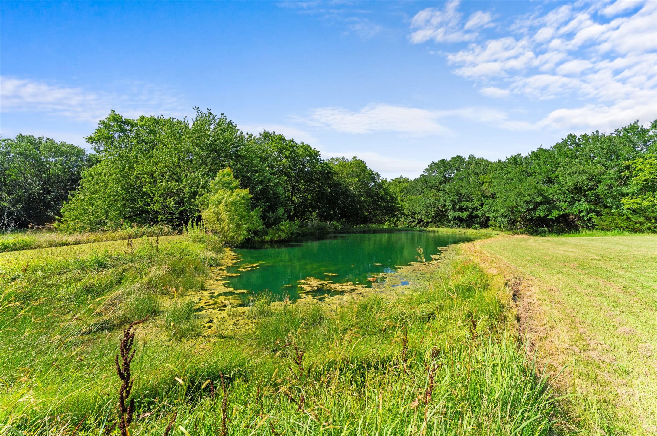 14951 County Road 622