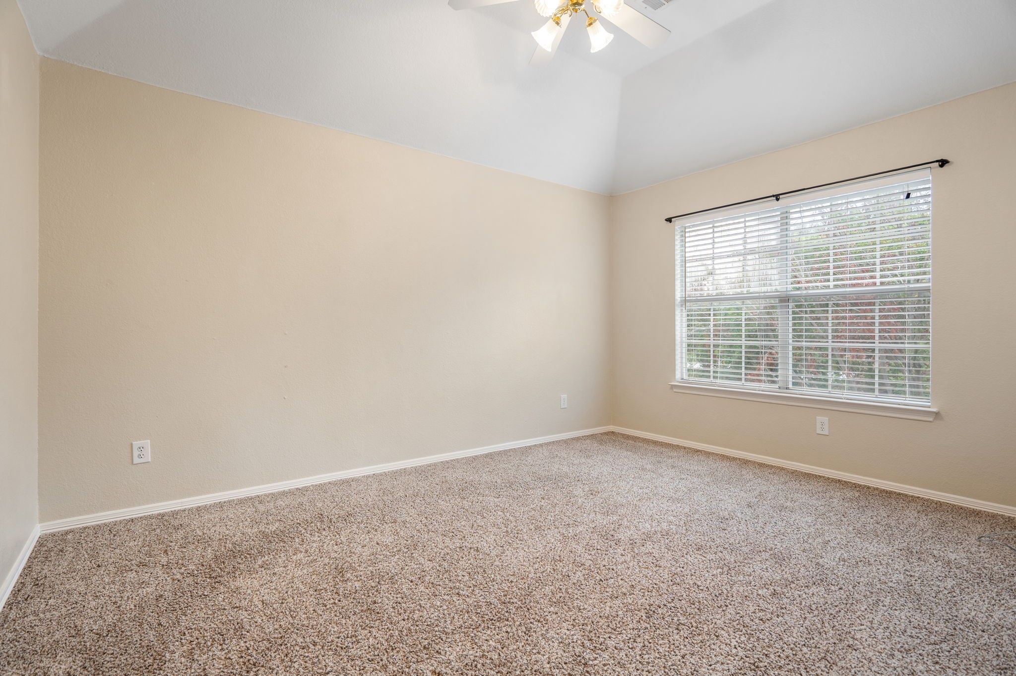 7832 Alderwood Place