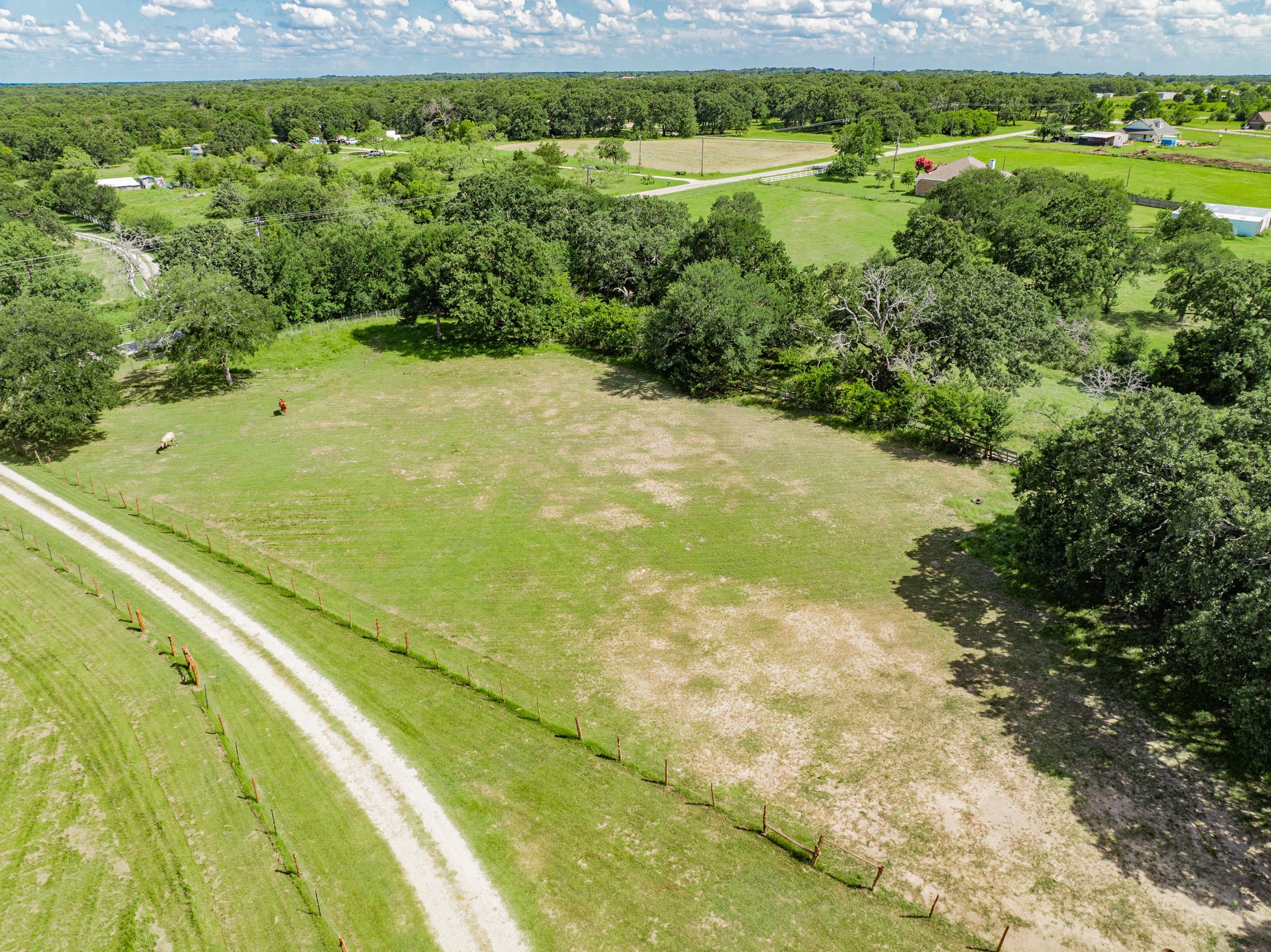 9091 Bluebonnet Drive