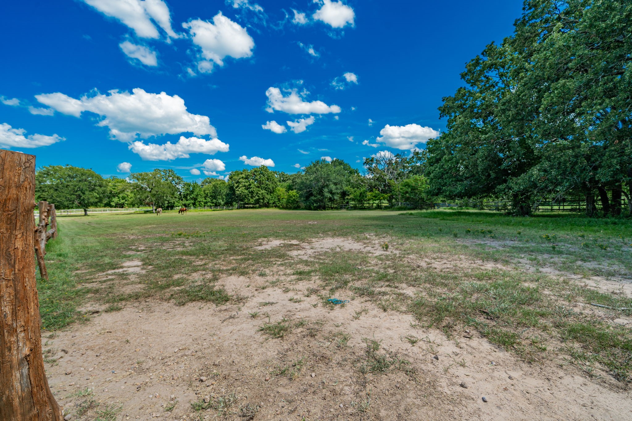 9091 Bluebonnet Drive