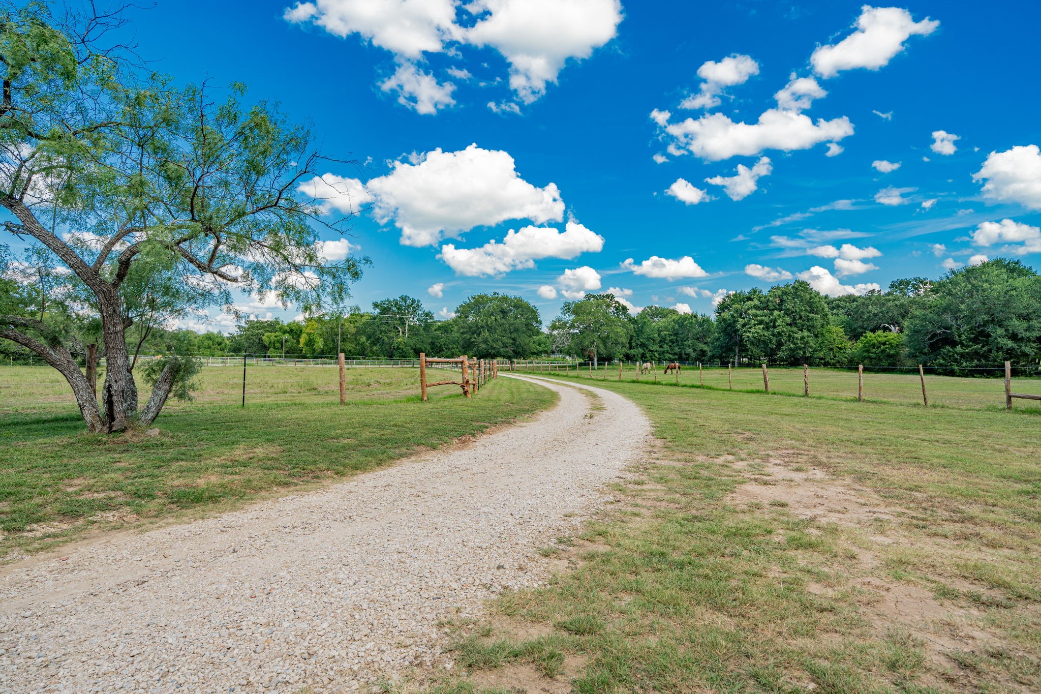 9091 Bluebonnet Drive