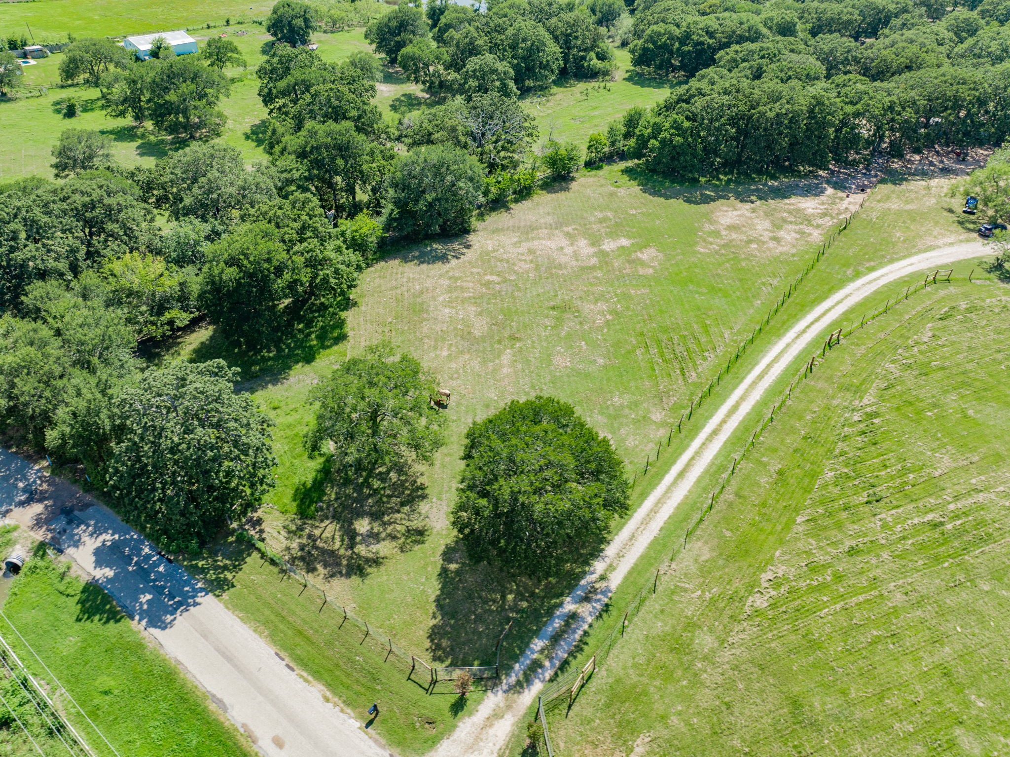9091 Bluebonnet Drive