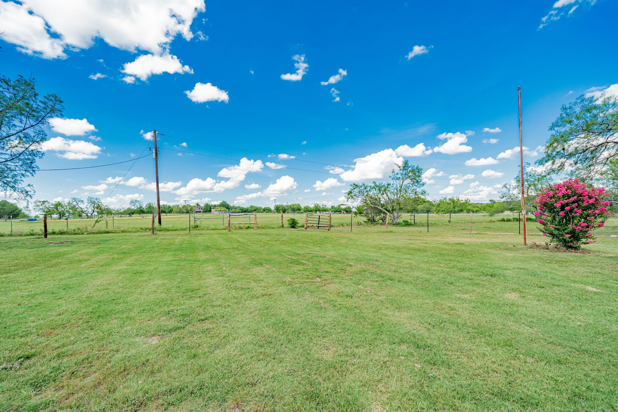 9091 Bluebonnet Drive