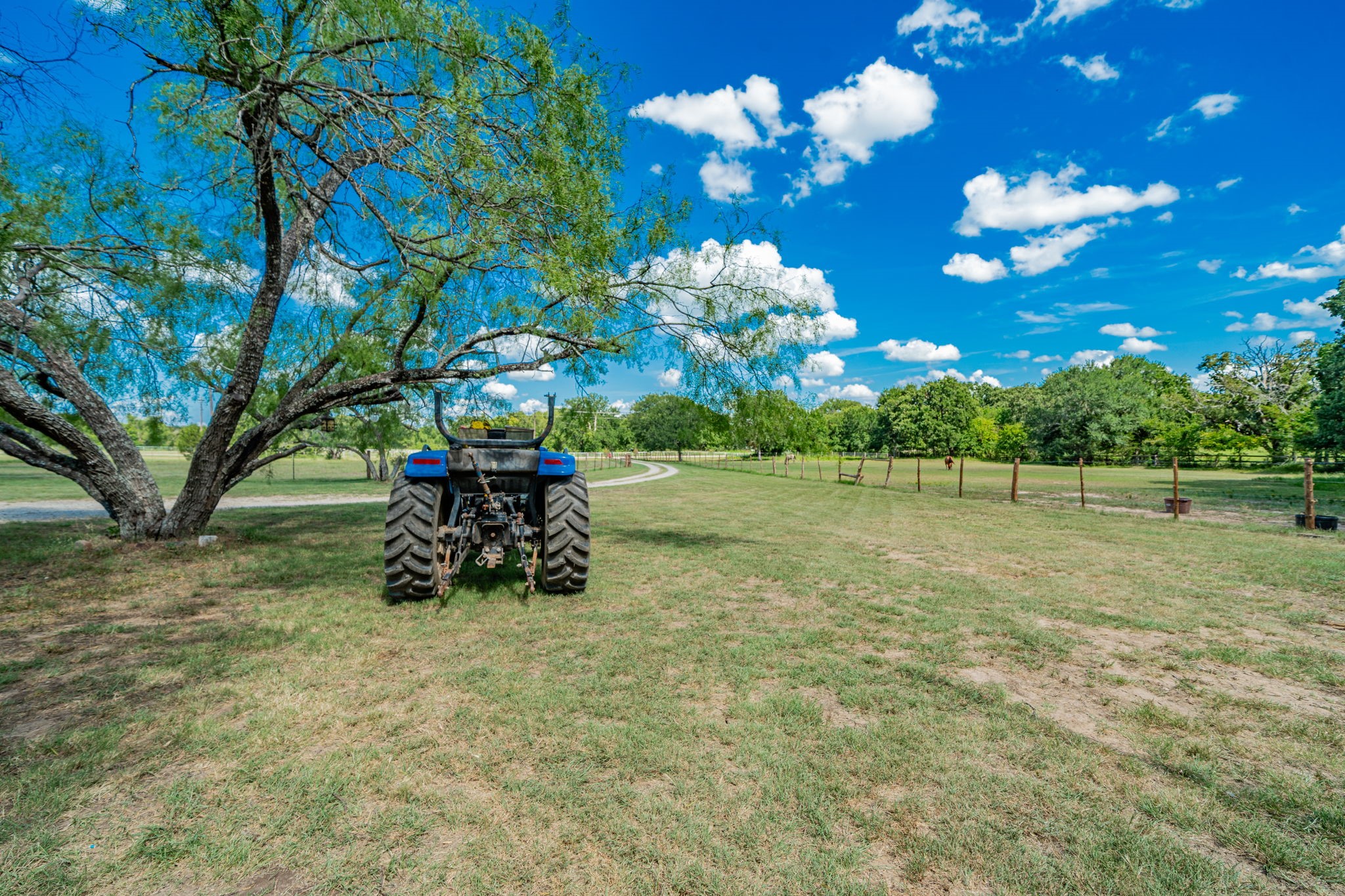 9091 Bluebonnet Drive