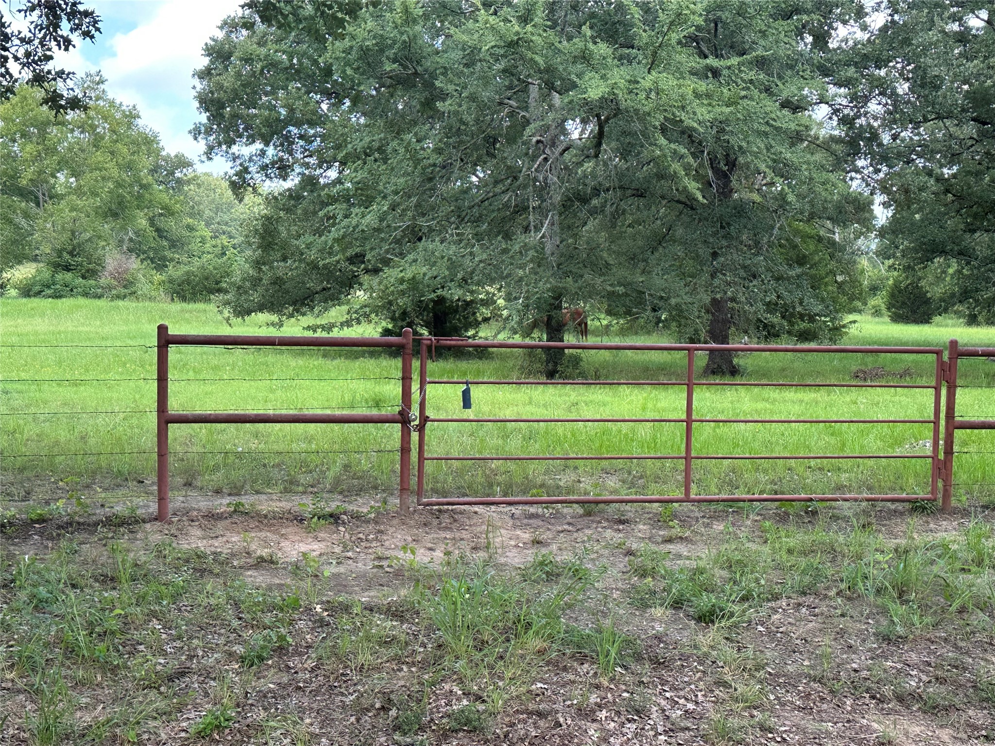 1082 VZ County Road 1217