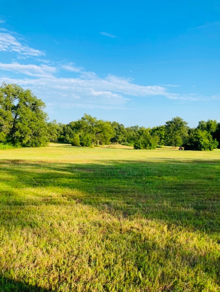 1082 VZ County Road 1217