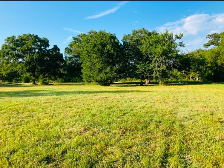 1082 VZ County Road 1217