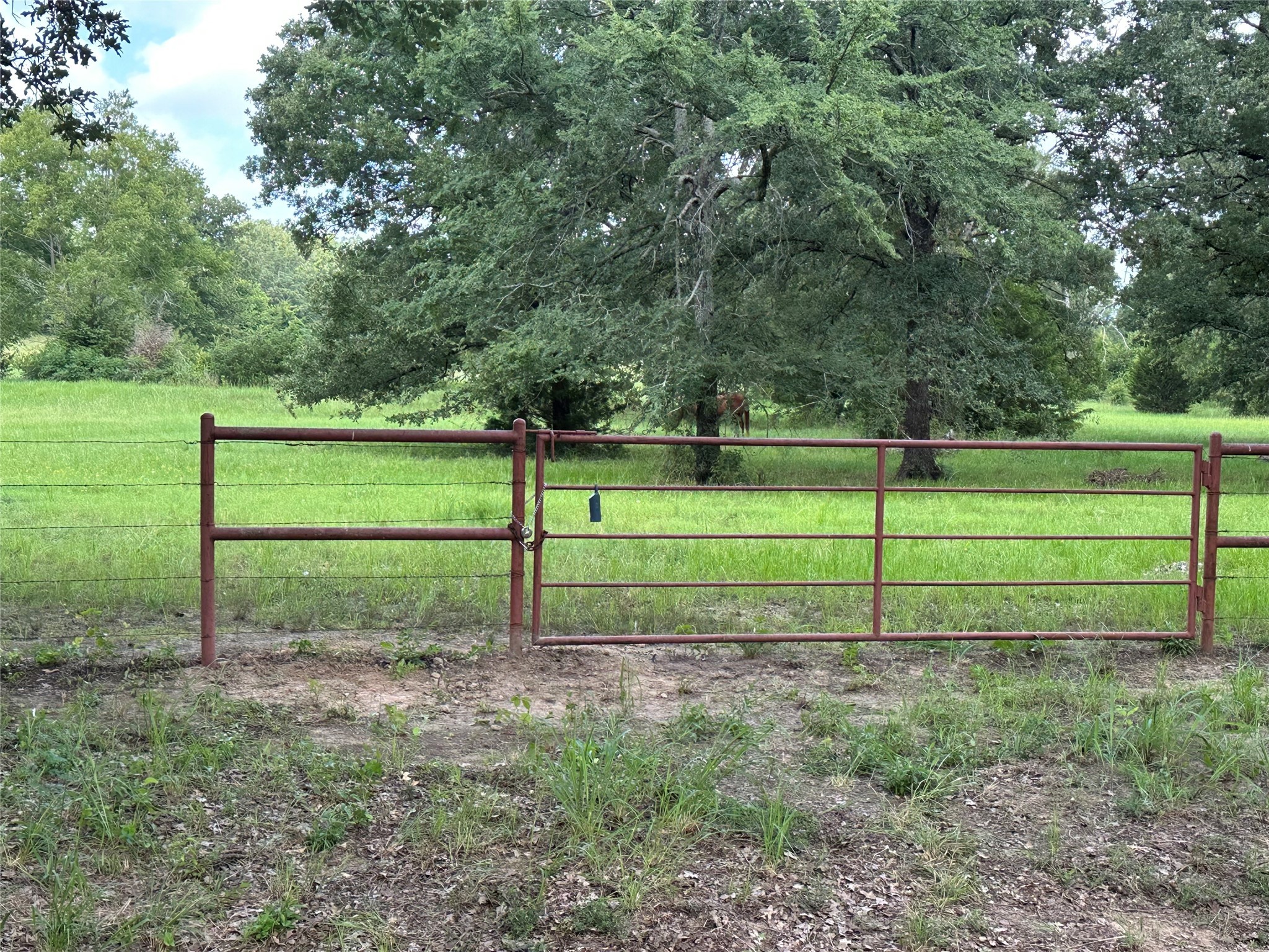 1082 VZ County Road 1217