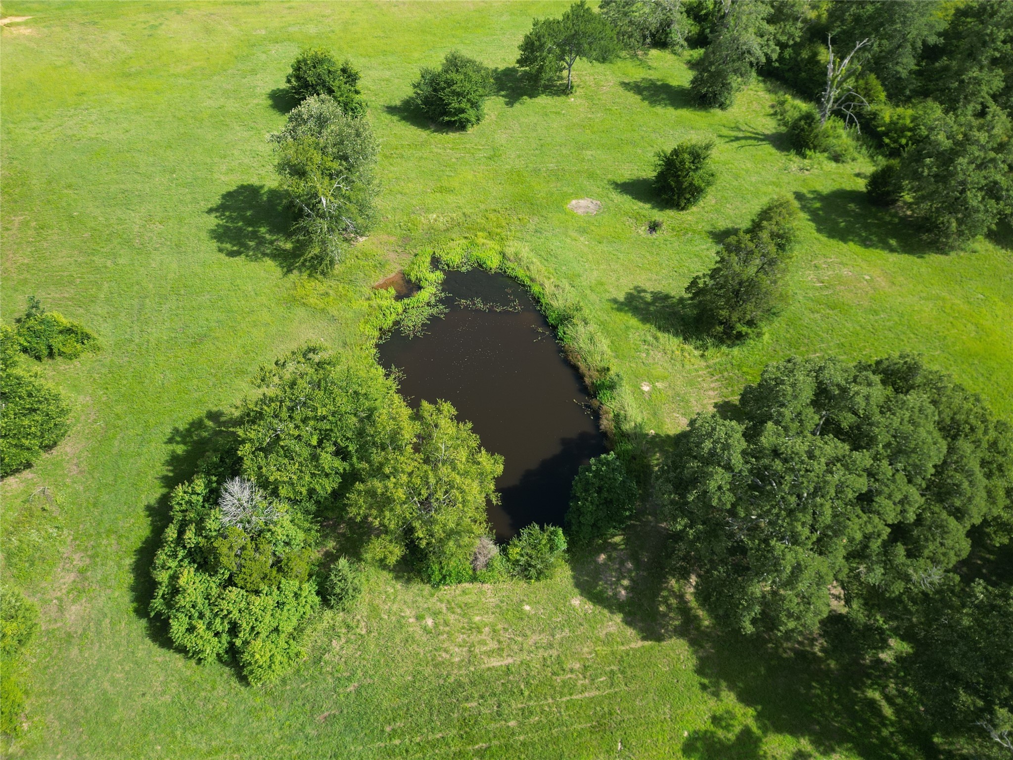 1082 VZ County Road 1217