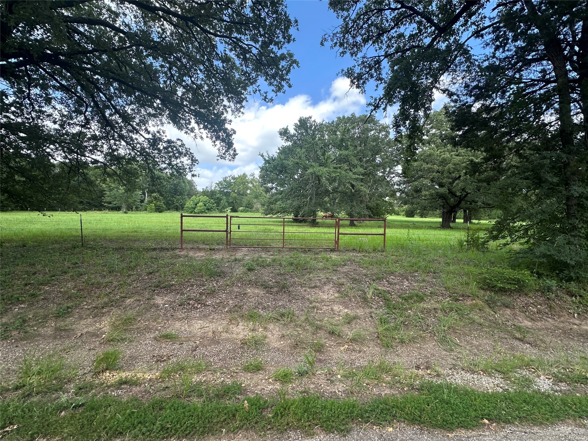 1082 VZ County Road 1217